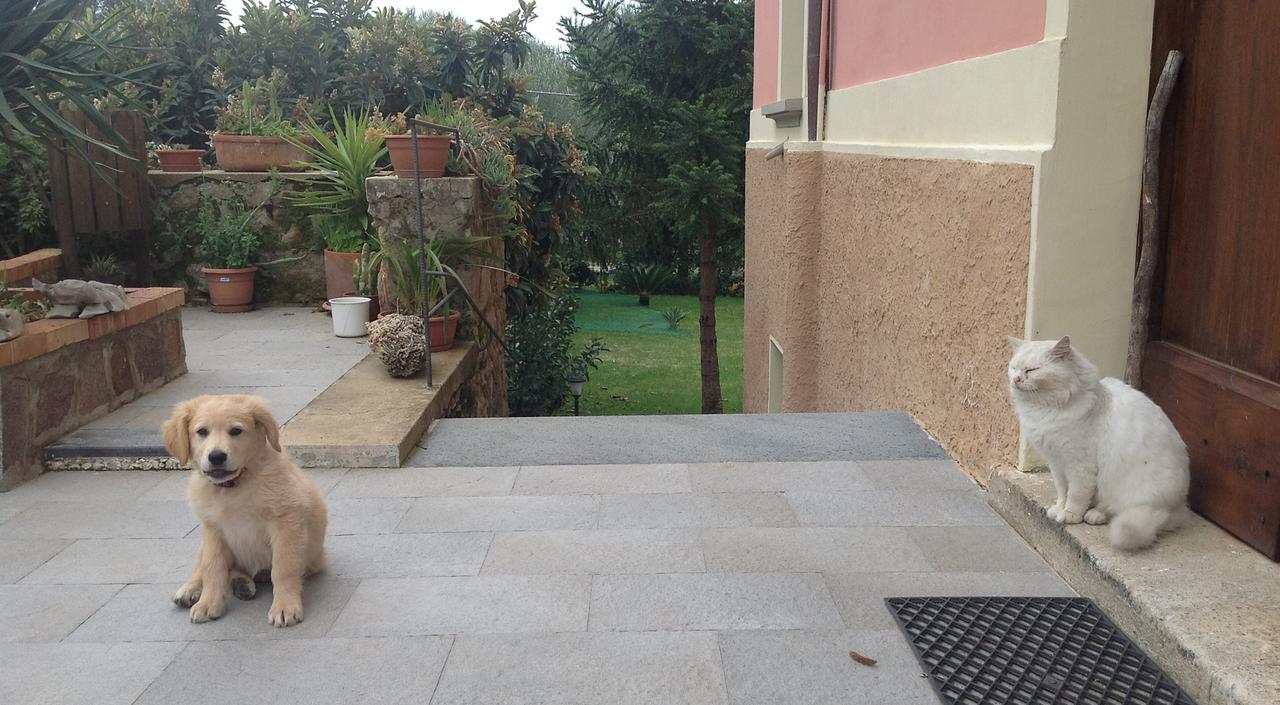 Villa Vincenza วัลโล เดลลา ลูคาเนีย ภายนอก รูปภาพ
